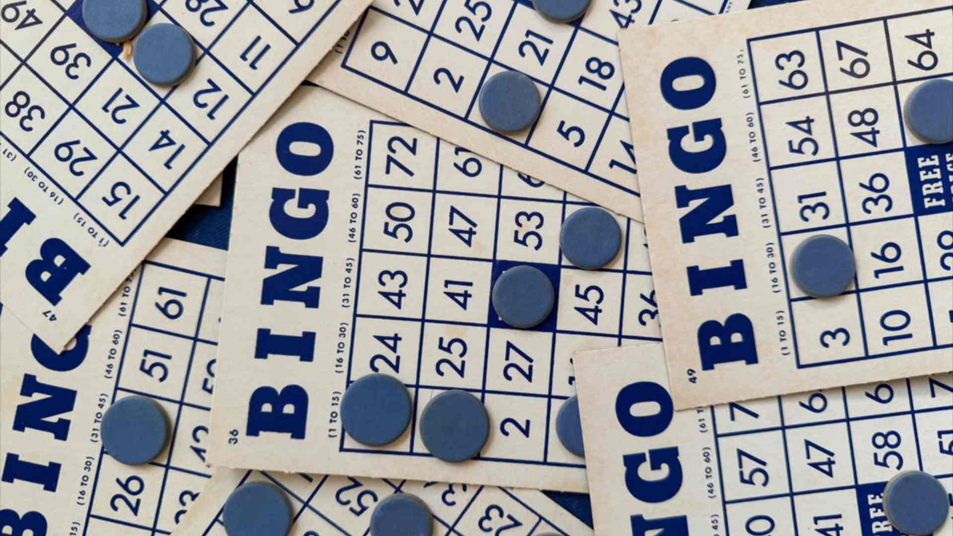 What Was the Evening Lottery Number: How to Check Past Results